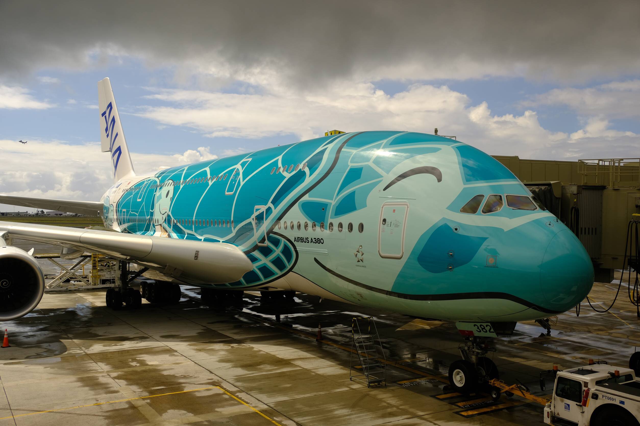 ANA エアバスA380「FLYING HONU」